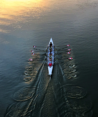 Born to Influence, Team Building